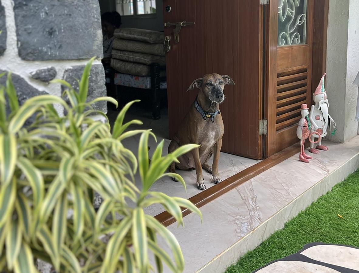 Angel House -Your Private Pet Friendly Haven Lonavala Buitenkant foto